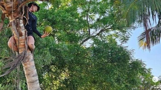 덱스, 야자나무 꼭대기서 무슨 일…빠니보틀 태계일주3 여행 공개