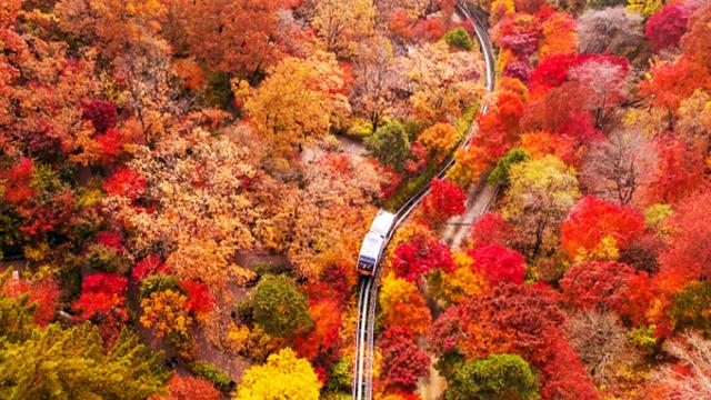 주말날씨 올가을들어 가장추워 얼음까지, 2023 단풍절정시기