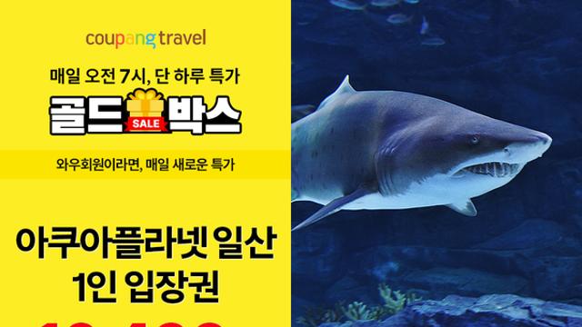 쿠팡, 골드박스서 아쿠아플라넷 일산 특가 판매…오늘 단 하루
