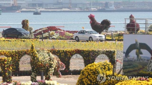 마산국화축제 야간 개장 재개로 빛나는 꽃의 판타지아