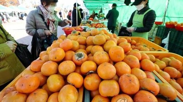 제철인데 먹기 힘드네…단감, 1년 전보다 32 비싸다