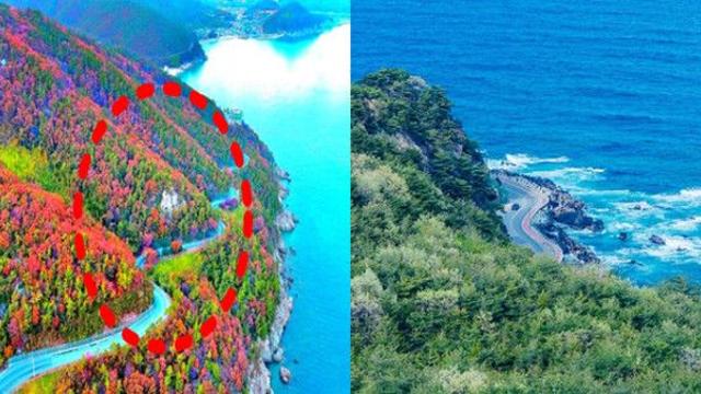 현지인들끼리 몰래 다녀…지금 안 가면 후회하는 드라이브 코스 BEST 6