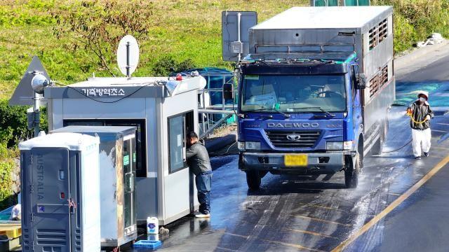 소 럼피스킨병 69건으로 늘어…강화·고창서 추가