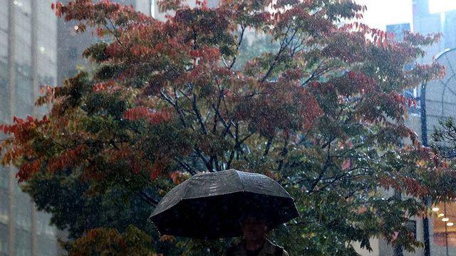 “천둥·번개 치고 비…” 오늘1일 심상치 않은 출근길 날씨 예보