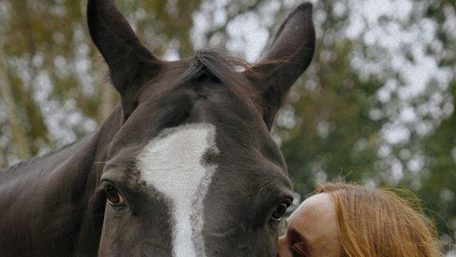 스텔라 매카트니, 2023 겨울 말의 치유력 캠페인 공개