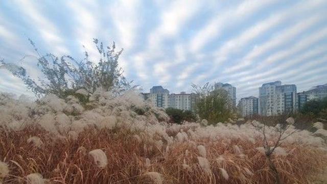 전북 가끔 구름 많은 날씨…낮 최고기온 12∼14도