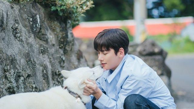 지창욱 멋 부리지 않아도 진심이 매력인 남자…스타일링 힘 뺐다 웰컴투 삼달리