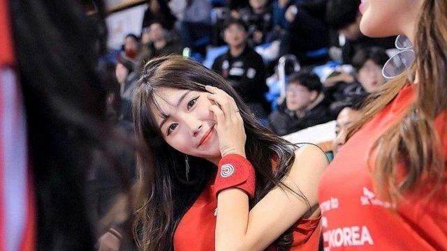 치어리더 안지현