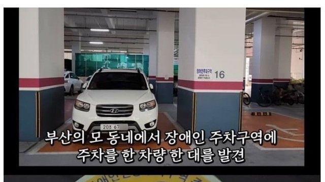 뉴스픽 유머