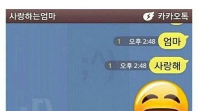 엄마에게 사랑한다고 카톡을 보내보았다
