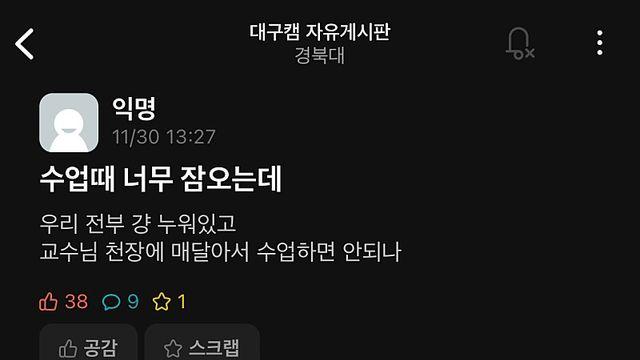뉴스픽 유머