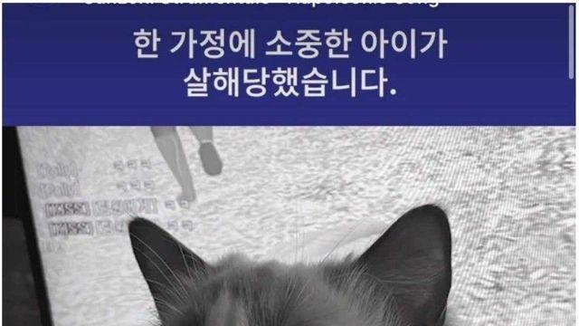 여자친구 고양이 죽이고 유기함