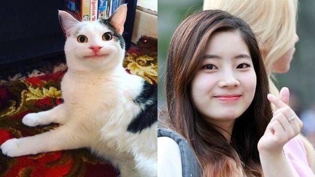 다현냥⋯!