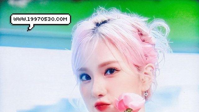 오늘 꽃집 팬싸한 비비지!?