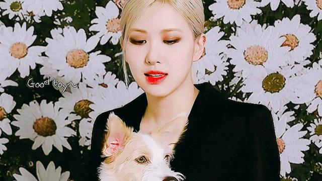 블랙핑크 로제♡!?