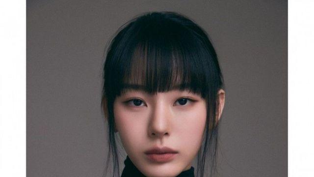 노제 새 프로필 사진