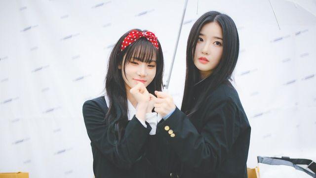 에볼루션 팬사인회 유연 나경 커엽⋯!