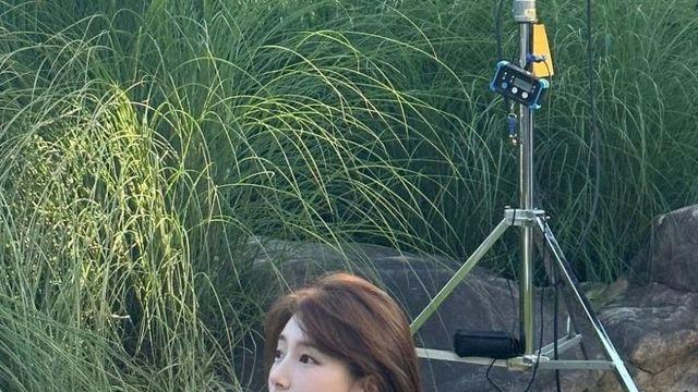 수지