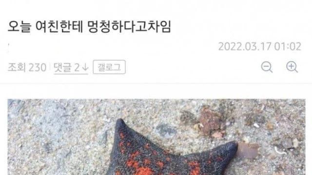 오늘 여사친한테 멍청하다고 차임....jpg..