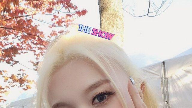 DREAMCATCHER DAMI