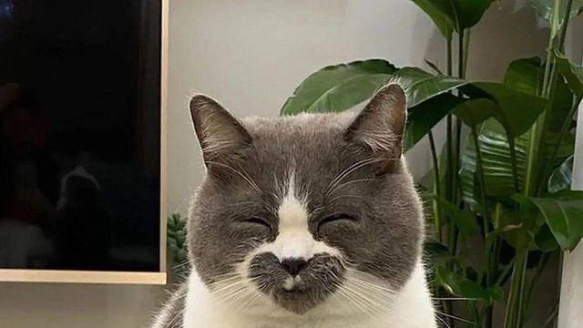 하루 24시간 사랑 받는 방법!?