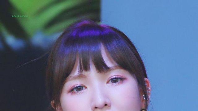 레드벨벳 웬디