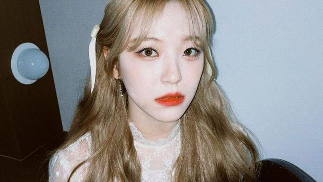 백지헌
