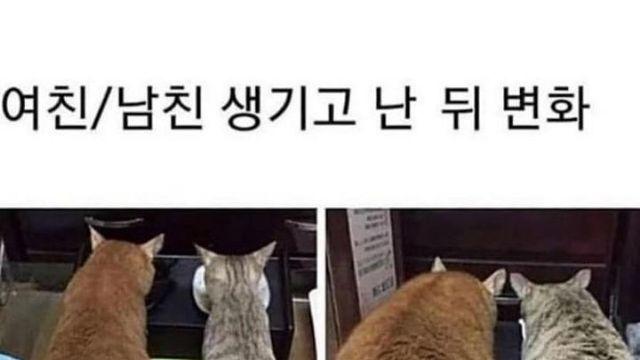 여친or남친 생긴 후 몸 변화