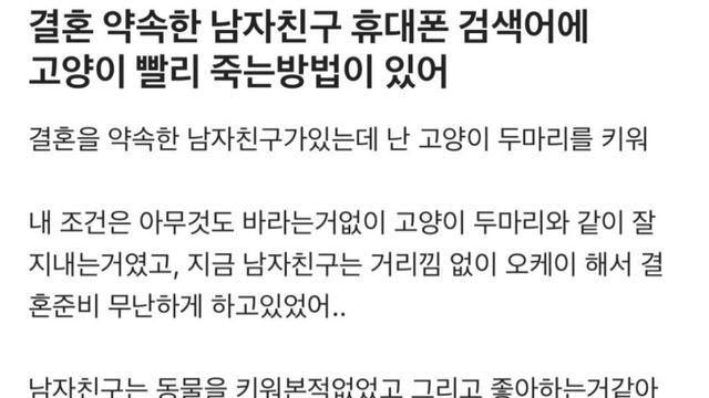 결혼 약속한 남자친구 휴대폰 검색어에 이런게 있었어