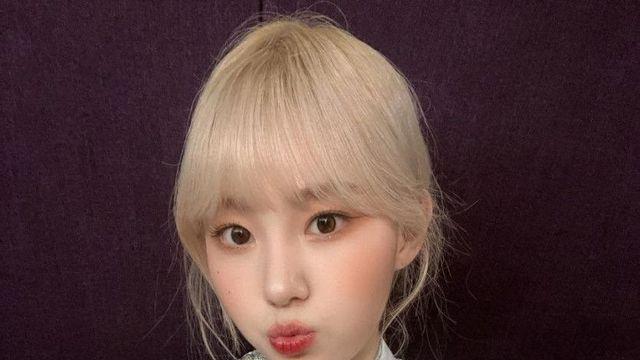 케플러 김채현