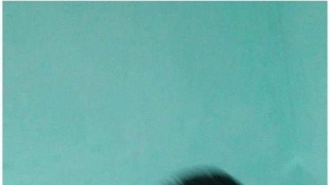 까치 구해준 후 여친 사귄 썰