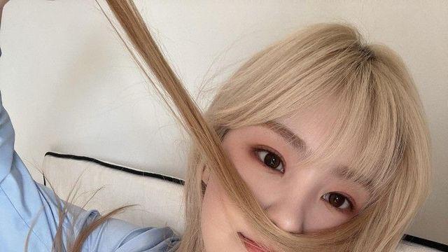 케플러 김채현