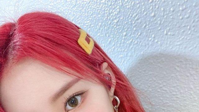 위클리 조아