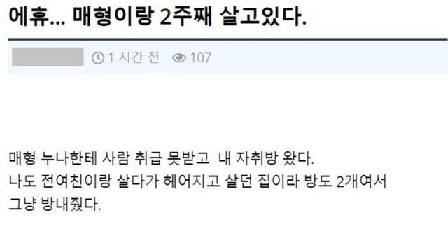 뉴스픽 유머