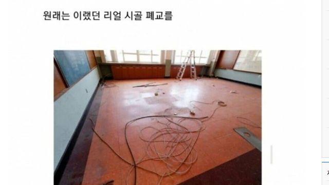뉴스픽 유머