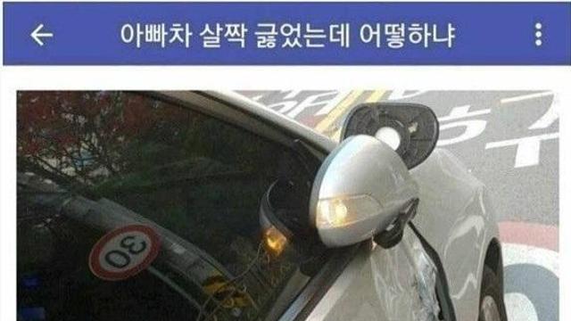 뉴스픽 유머