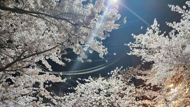 있지 리아