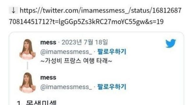 한국에서 가성비로 프랑스 여행글 보고 실제로 해본 국제커플.jpg