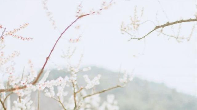 가수 이소율, 주원컴퍼니와 전속계약 체결