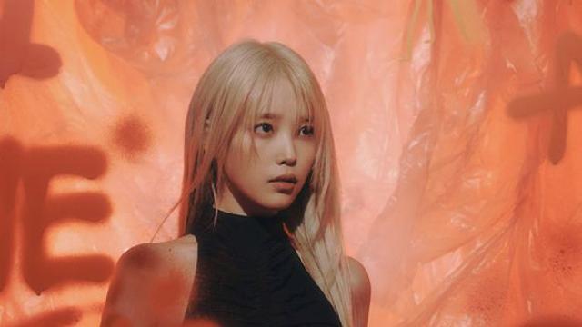 '암표 누명 논란' 아이유 측 