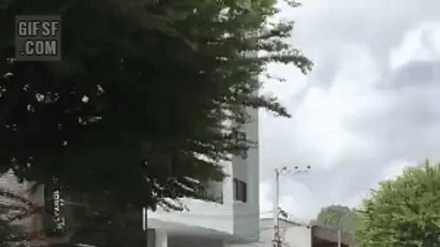 커플 자전거 타는 할아버지와 댕댕이들		…