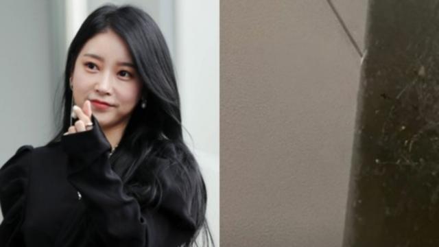 'UAE 거주' 티아라 출신 소연, 인공비에 집 잠겼다…