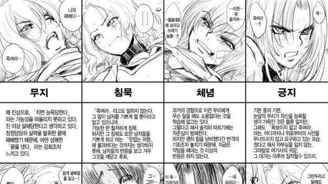 패배한 여전사 유형