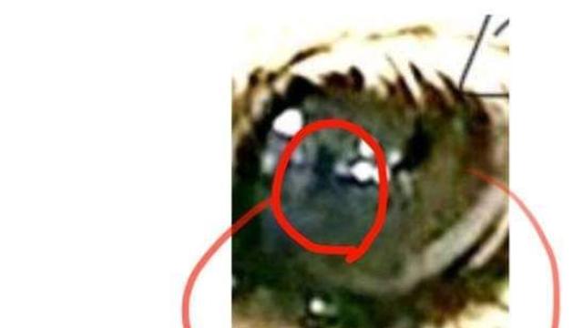 그대, 네티즌 수사대를 졸로 보는가?..