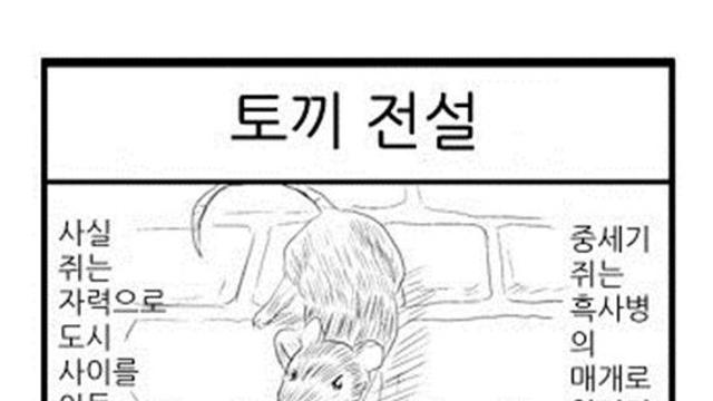 토끼 전설(만화)