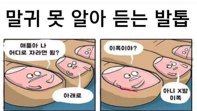 말귀 못 알아 듣는 발톱		…