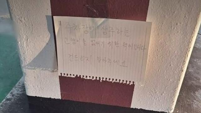 고양이 없애려고 ‘살생용 먹이’ 만든 40대…“오토바이 시트 더럽혀서”