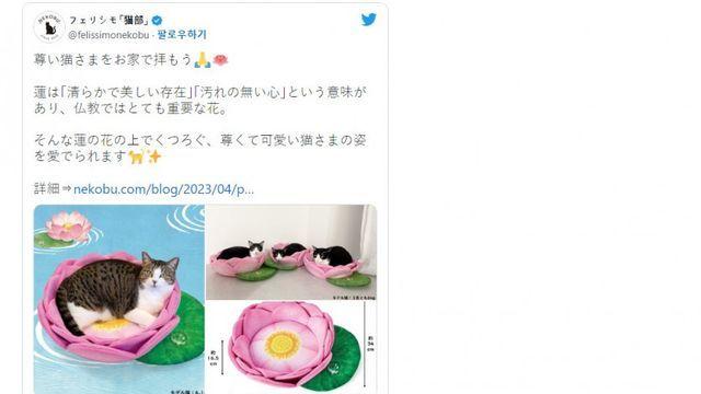 고양이용 연꽃 쿠션을 샀는데 고양이가 이상하게 쓴다		…