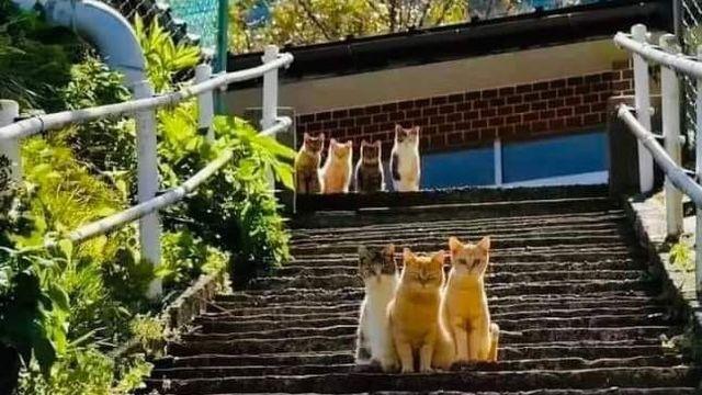 고백 성공 순간을 보는 구경꾼들