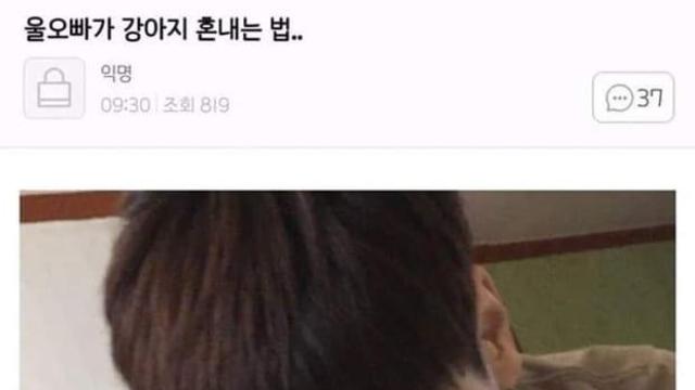 강아지 혼내는 법		…